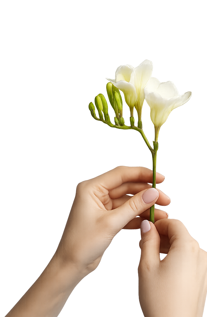 יד מחזיקה פרח